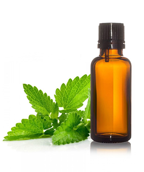 Spearmint Oil (Mentha Spicata Oil)